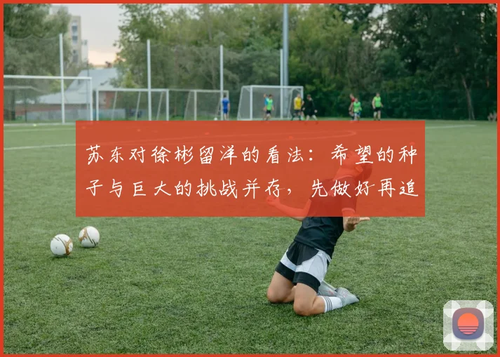 苏东对徐彬留洋的看法：希望的种子与巨大的挑战并存，先做好再追求完美