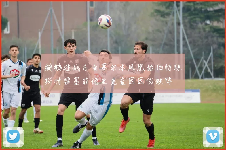 鹈鹕迎战东南墨尔本凤凰赫伯特琼斯特雷墨菲德里克奎因因伤缺阵